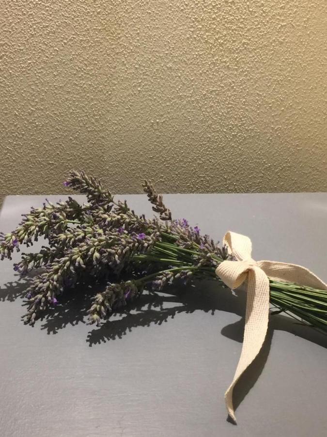 Casina Bella Leilighet Cortona Eksteriør bilde